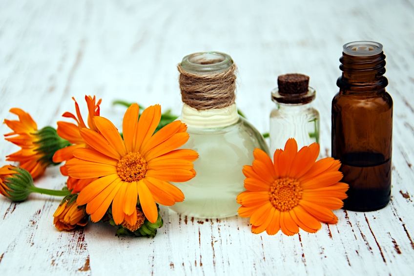 Carrier Oils for Calendula