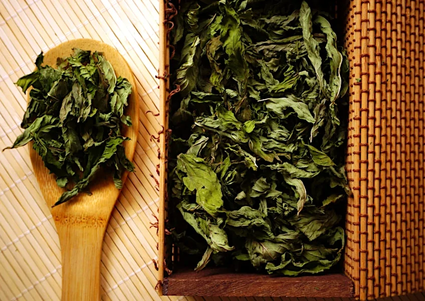 Dried Mint Leaves