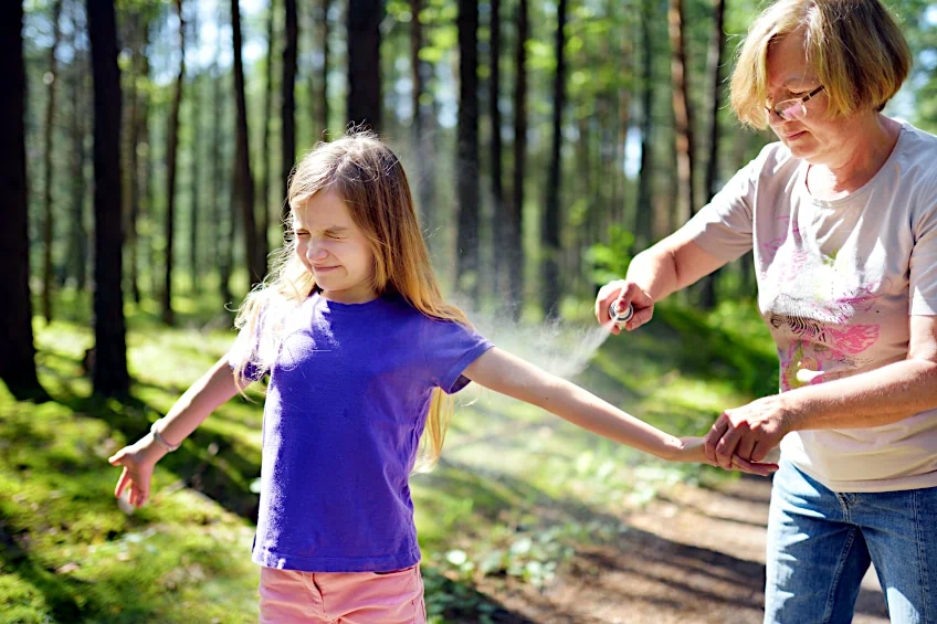 Lavender Oil for Insect Repellent